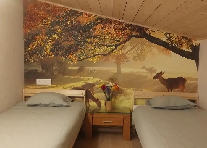 Vakantiewoning De Specht
